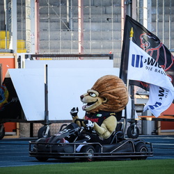 NewYorker Lions 2025